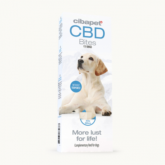 Snack con CBD per cani