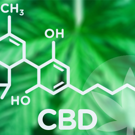 Acquistare Olio di CBD: le Cose da Controllare