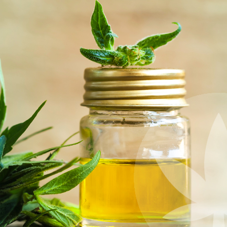 Che Sapore Ha L'Olio di CBD?